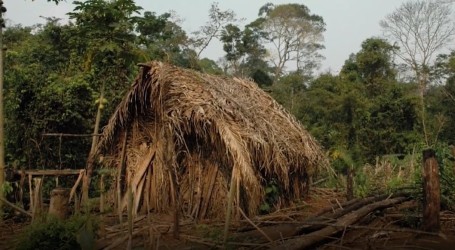 Brazil: Preminuo zadnji domorodac koji je živio potpuno usamljen u Amazoniji