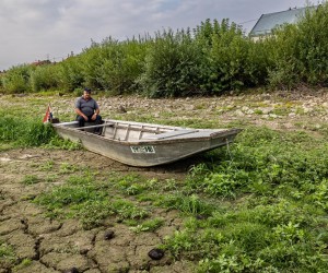 24.08.2022., Batina - Vise mjesecna susa i nizak vodostaj rijeka Drave i Dunava negativno se odrazila na ljude koji zive uz vodu.
 Photo: Davor Javorovic/PIXSELL