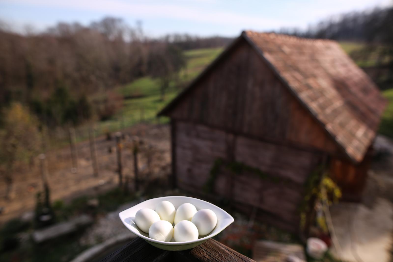 28.11.2017., Breznica - Bozica Zezelj, saptacica kokama, sa suprugom se bavi uzgojem eko jaja koja se izvoze u Veliku Britaniju za tvrtku Lush koja proizvodi kozmetiku. "nPhoto: Igor Soban/PIXSELL