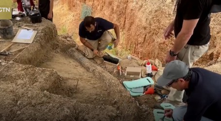 Izrael: Pronađena najveća fosilizirana kljova prapovijesnog slona