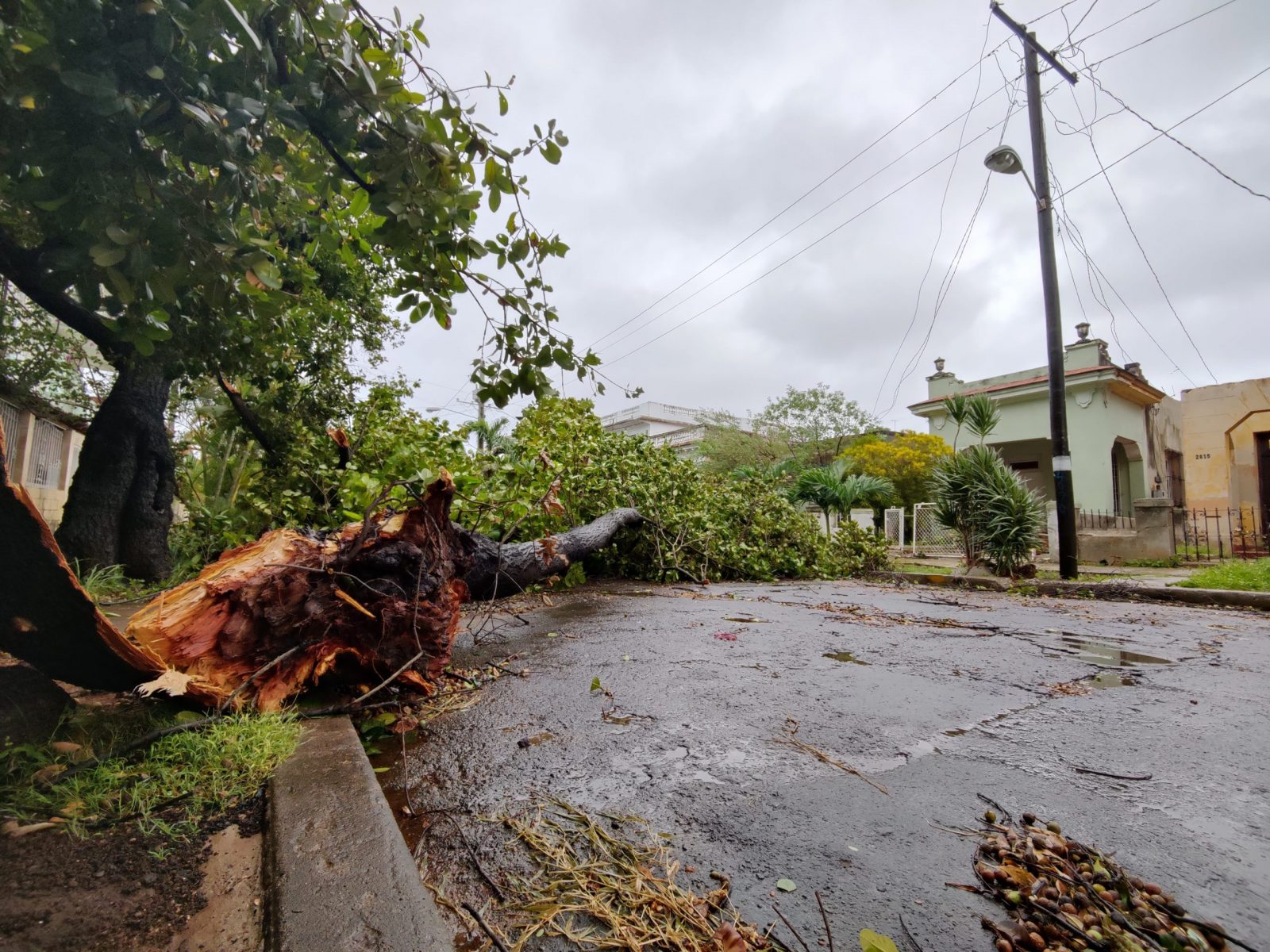 epa10211734 A fallen tree lies across a road after the passage of Hurricane Ian, in Havana, Cuba, 28 September 2022. At least two people have died in Cuba when the category three hurricane crossed the island from south to north at its western end, causing wide spread damage.  EPA/Juan Palop