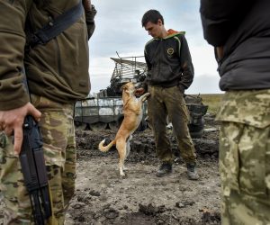 epaselect epa10216477 A Ukrainian serviceman pets a dog near a captured Russian tank in Kharkiv region, Ukraine, 30 September 2022. The Ukrainian army pushed Russian troops from occupied territory in the northeast of the country in a counterattack. Kharkiv and surrounding areas have been the target of heavy shelling since February 2022, when Russian troops entered Ukraine starting a conflict that has provoked destruction and a humanitarian crisis.  EPA/OLEG PETRASYUK