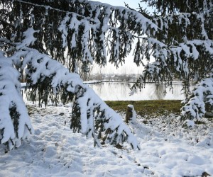 01.02.2021., Bjelovar - Nekoliko centimetara snijega donijelo je prvi pravi ovogodisnji zimski ugodjaj na sirem bjelovarskom podrucju. Photo:Damir Spehar/PIXSELL