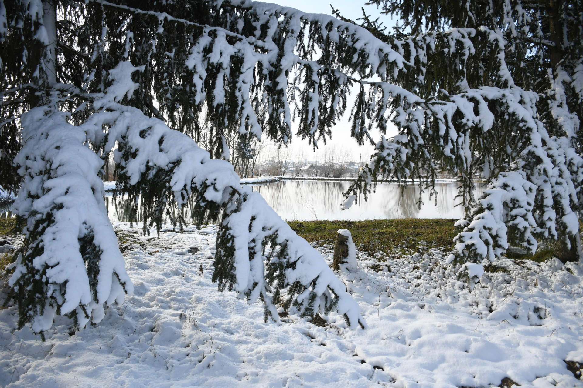 01.02.2021., Bjelovar - Nekoliko centimetara snijega donijelo je prvi pravi ovogodisnji zimski ugodjaj na sirem bjelovarskom podrucju. Photo:Damir Spehar/PIXSELL