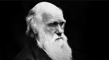 Rijedak dokument s potpisom Charlesa Darwina ide na dražbu