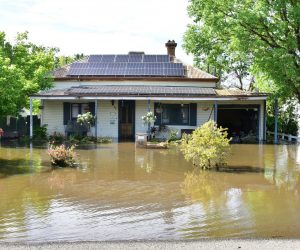 epa10289297 A flooded house on Farrand Street in Forbes, New South Wales, Australia, 06 November 2022. Residents in flood-affected New South Wales communities are slowly returning to assess the damage as waters peak in several inland towns.  EPA/LUCY CAMBOURN  AUSTRALIA AND NEW ZEALAND OUT