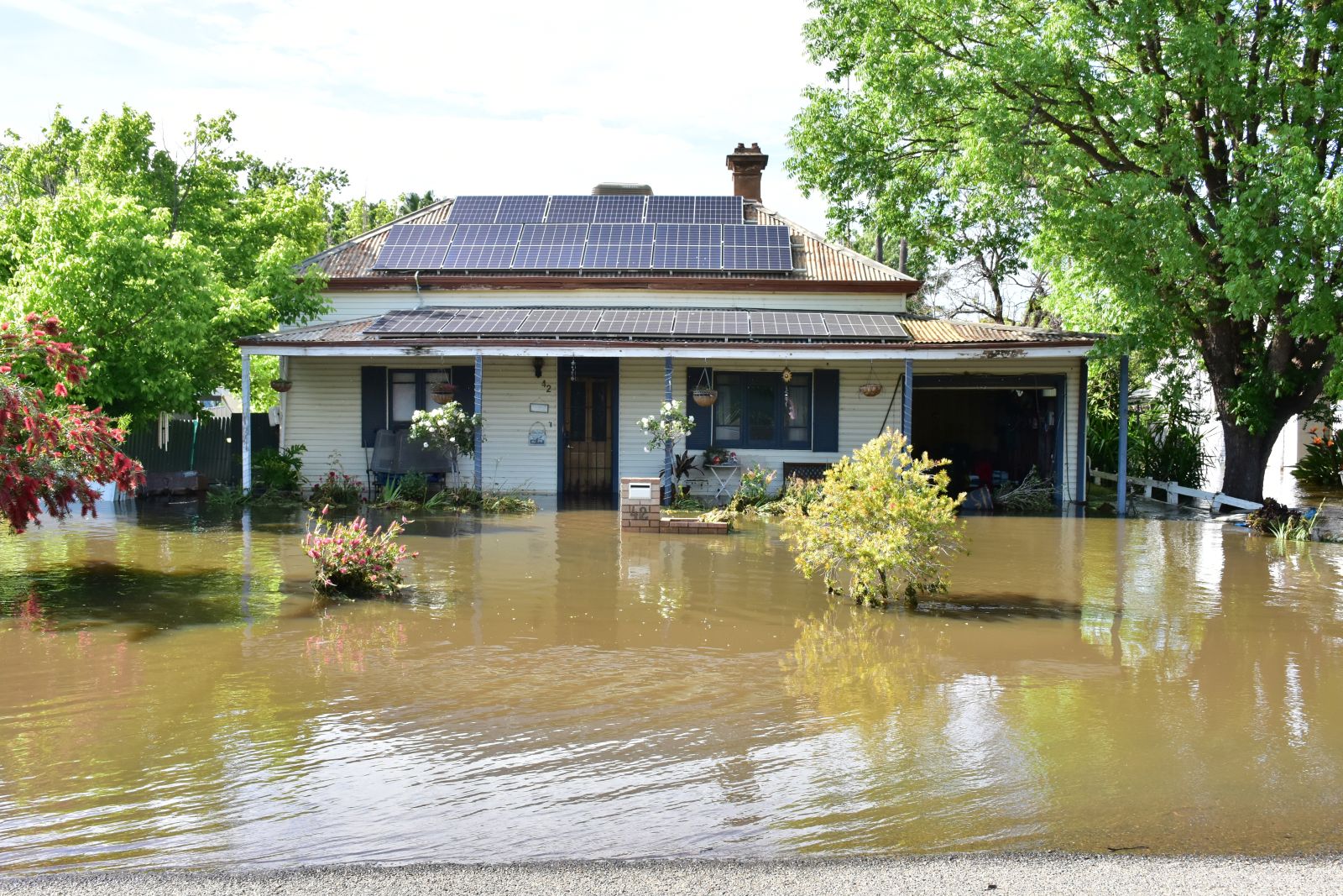 epa10289297 A flooded house on Farrand Street in Forbes, New South Wales, Australia, 06 November 2022. Residents in flood-affected New South Wales communities are slowly returning to assess the damage as waters peak in several inland towns.  EPA/LUCY CAMBOURN  AUSTRALIA AND NEW ZEALAND OUT