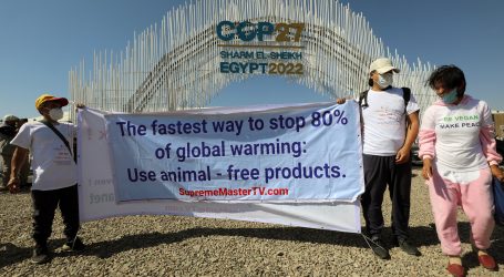 Samit COP27 raspravljat će o pitanju reparacije ranjivim zemljama