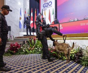epa10304748 Members of the presidential security force with a sniffer dog inspect the podium at one of the venues of the G20 Summit in Nusa Dua, Bali, Indonesia, 14 November 2022. Bali will host the 17th Group of 20 (G20) Heads of State and Government Summit from 15 to 16 November 2022.  EPA/MAST IRHAM