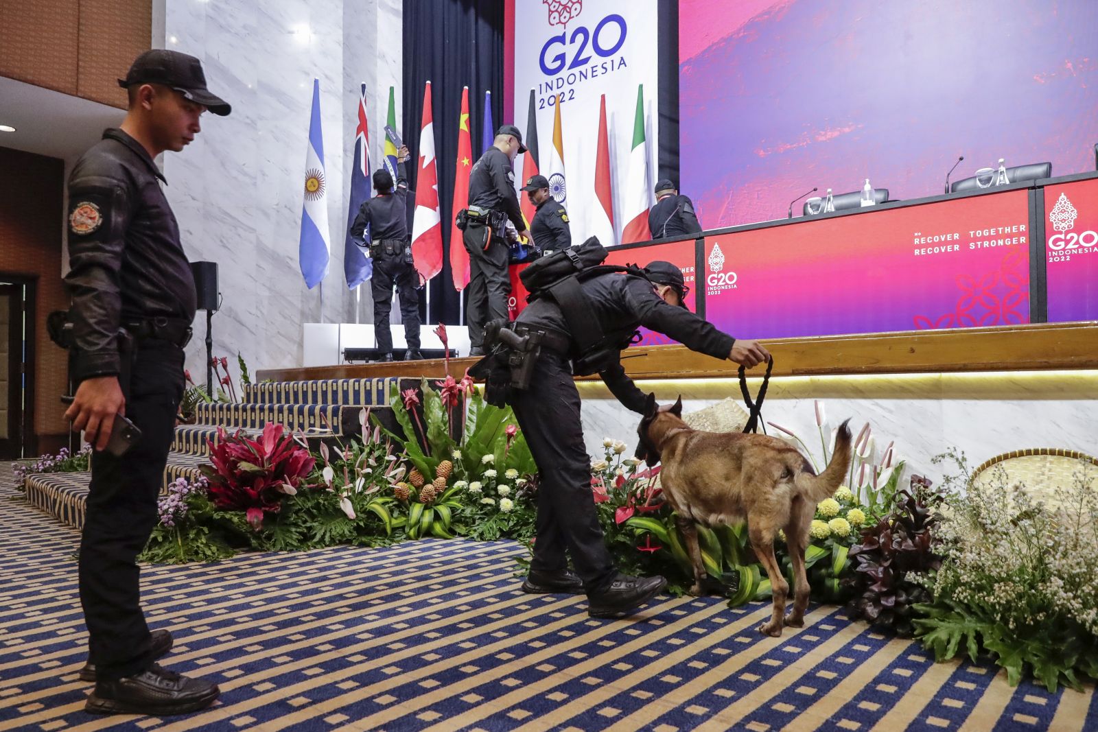 epa10304748 Members of the presidential security force with a sniffer dog inspect the podium at one of the venues of the G20 Summit in Nusa Dua, Bali, Indonesia, 14 November 2022. Bali will host the 17th Group of 20 (G20) Heads of State and Government Summit from 15 to 16 November 2022.  EPA/MAST IRHAM