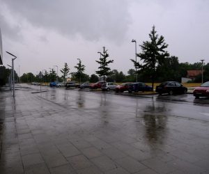 07.07.2022., Zagreb - U popodnevnim satima u Zagrebu pocela je padati kisa, dobrodoslo osvjezenje nakon velikih vrucina. Photo: Slaven Branislav Babic/PIXSELL
