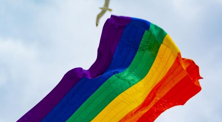 Japanski sud potvrdio zabranu istospolnih brakova i pokrenuo pitanje ljudskih prava