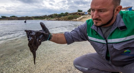 “Katastrofa” i “dugo čišćenje”: obalu kod Ližnjana čiste volonteri, uzrok onečišćenja i dalje nepoznat