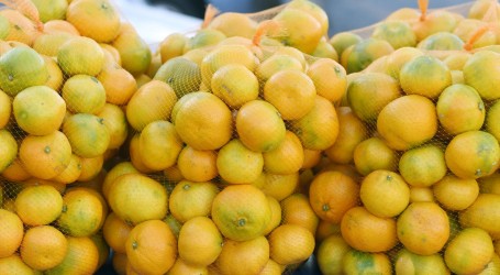 Mandarine imaju izrazito zdrav nutritivni sastav, koji pomaže u prevenciji prehlada i viroza