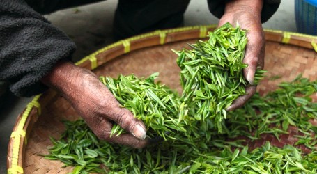 Međunarodni je dan čaja! Svakog dana u svijetu se popije tri milijarde šalica