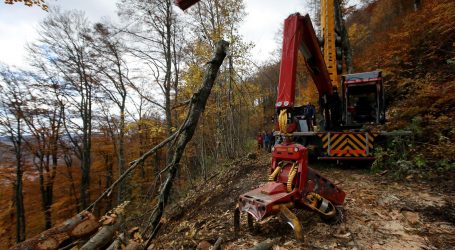 Kanadski veleposlanik pri EU zabrinut zbog predloženih pravilia za suzbijanje krčenja šuma
