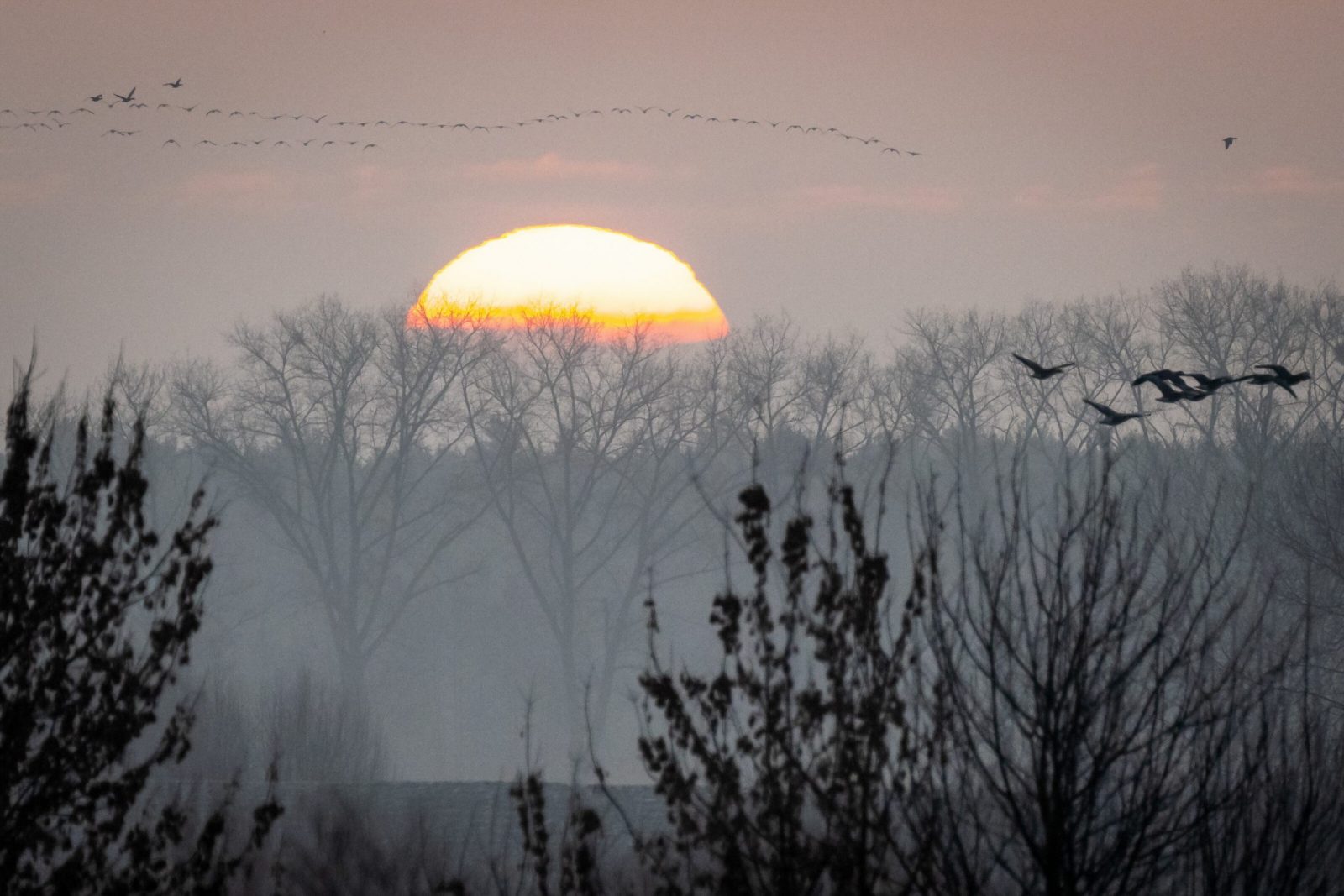 epa10371426 A flock of birds flies past as the sun rises over the Vistula River in Topolno, northern Poland, 18 December 2022.  EPA/Tytus Zmijewski POLAND OUT