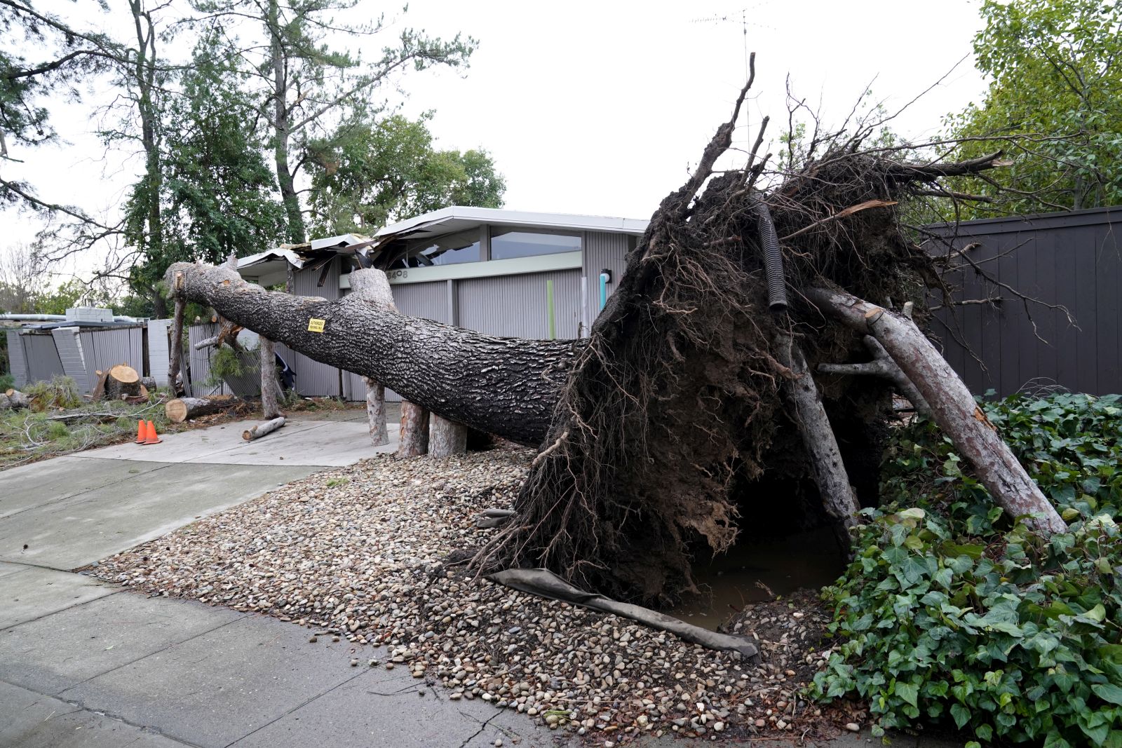 epa10397409 A large tree lies near a home after being toppled, after a wave of storms in Sacramento, California, USA, 09 January 2023. California Governor Gavin Newsom proclaimed a state of emergency due to the severity of the winter storms in the state. Many counties in the state are under flood warnings.  EPA/JOHN G. MABANGLO