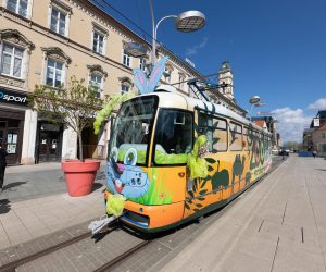 11.04.2022., Osijek - Djelatnici GPP-a uredili su tramvaj ususret Uskrsu te je gradonacelnik Ivan Radic najavio manifestaciju pod nazivom Uskrs u Osijeku.  Photo: Davor Javorovic/PIXSELL