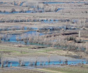 15.02.2021., Vrgorac - Poplavljeni vinogradi i vocnjaci u Pojezerju. Photo: Ivo Cagalj/PIXSELL