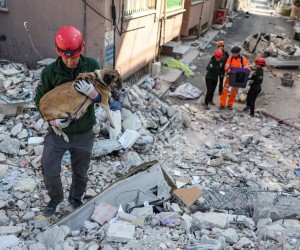 epa10479895 US members of Humane Society International rescue a dog with five puppies from the rubble after powerful earthquake in Hatay, Turkey, 20 February 2023. More than 45,000 people have died and thousands more are injured after two major earthquakes struck southern Turkey and northern Syria on 06 February. HAYTAP, The Federation of the Animals Rights in Turkey, rescued and treated approximately 700 animals in the animal field hospital. Animals, whose owners cannot be reached, are adopted by volunteers in other cities after being treated in the hospital.  EPA/ERDEM SAHIN  ATTENTION: This Image is part of a PHOTO SET