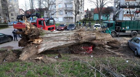 Posljedice nevremena u više županija. U Zagrebu ozlijeđena jedna osoba