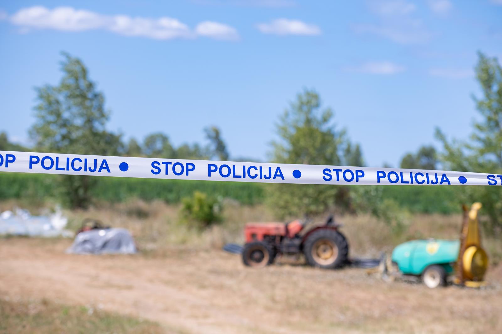 25.08.2021., Zadar - Na podrucju Smilcica policija je pronasla preko 7 tisuca stabljika konoplje zasadjene medju stabljikama industrijske konoplje za ciji uzgoj 58-godisnji vlasnik ima registriranu tvrtku. rPhoto: Dino Stanin/PIXSELL