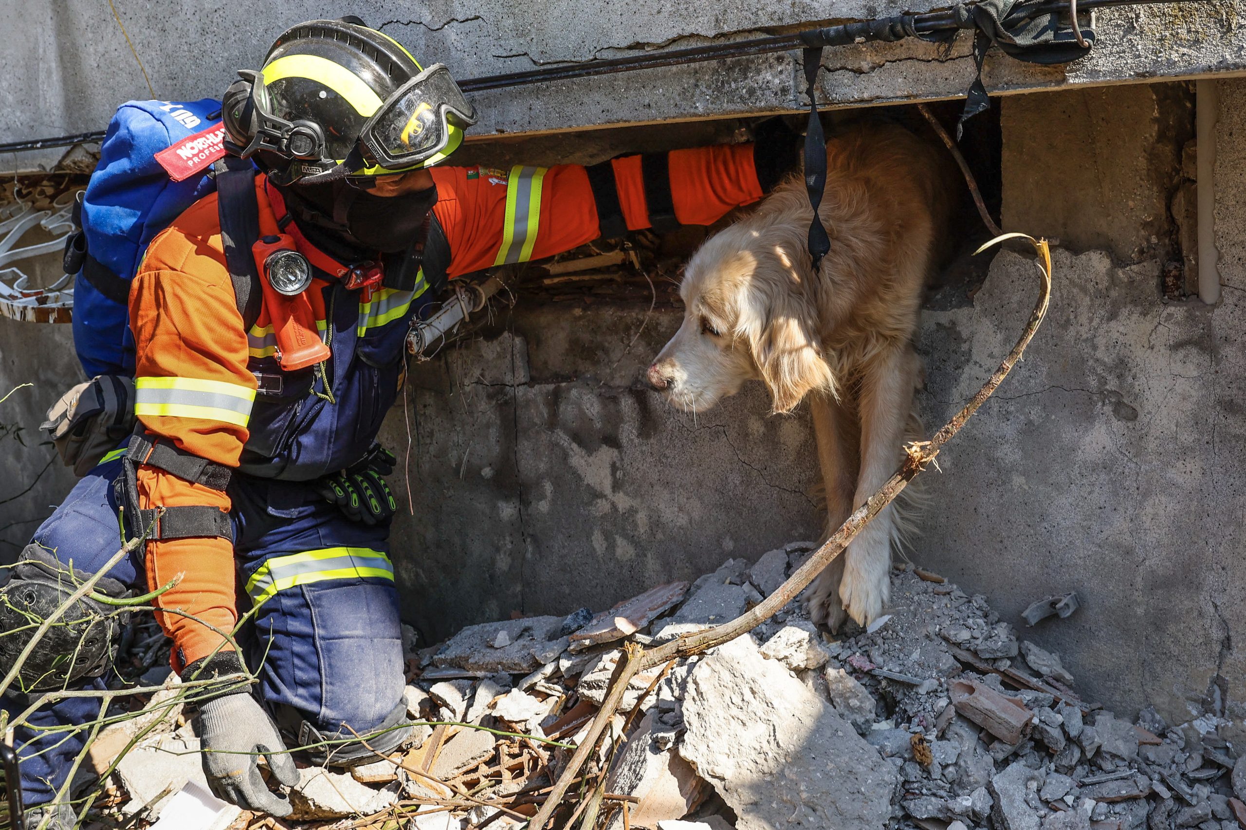 epa10466799 Portuguese rescue team members are trying to free the dog named Tarcin (Cinnamon) in a building that collapsed during the earthquake in Antakya capital of Hatay Province, Turkey, 14 February 2023. A team from Portugal of 53 Civil Protection, GNR, and emergency medical personnel left 08 February, for Turkey to support search and rescue efforts after 06 February earthquake, in which more than 37,000 people died and thousands more were injured.  EPA/JOAO RELVAS
