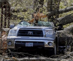 epaselect epa10543352 A pickup truck destroyed by downed trees the day after a tornado struck in Amory, Mississippi, USA, 25 March 2023. At least 23 people have been killed after an overnight tornado and severe weather outbreak tore through the US state of Mississippi.  EPA/THOMAS GRANING
