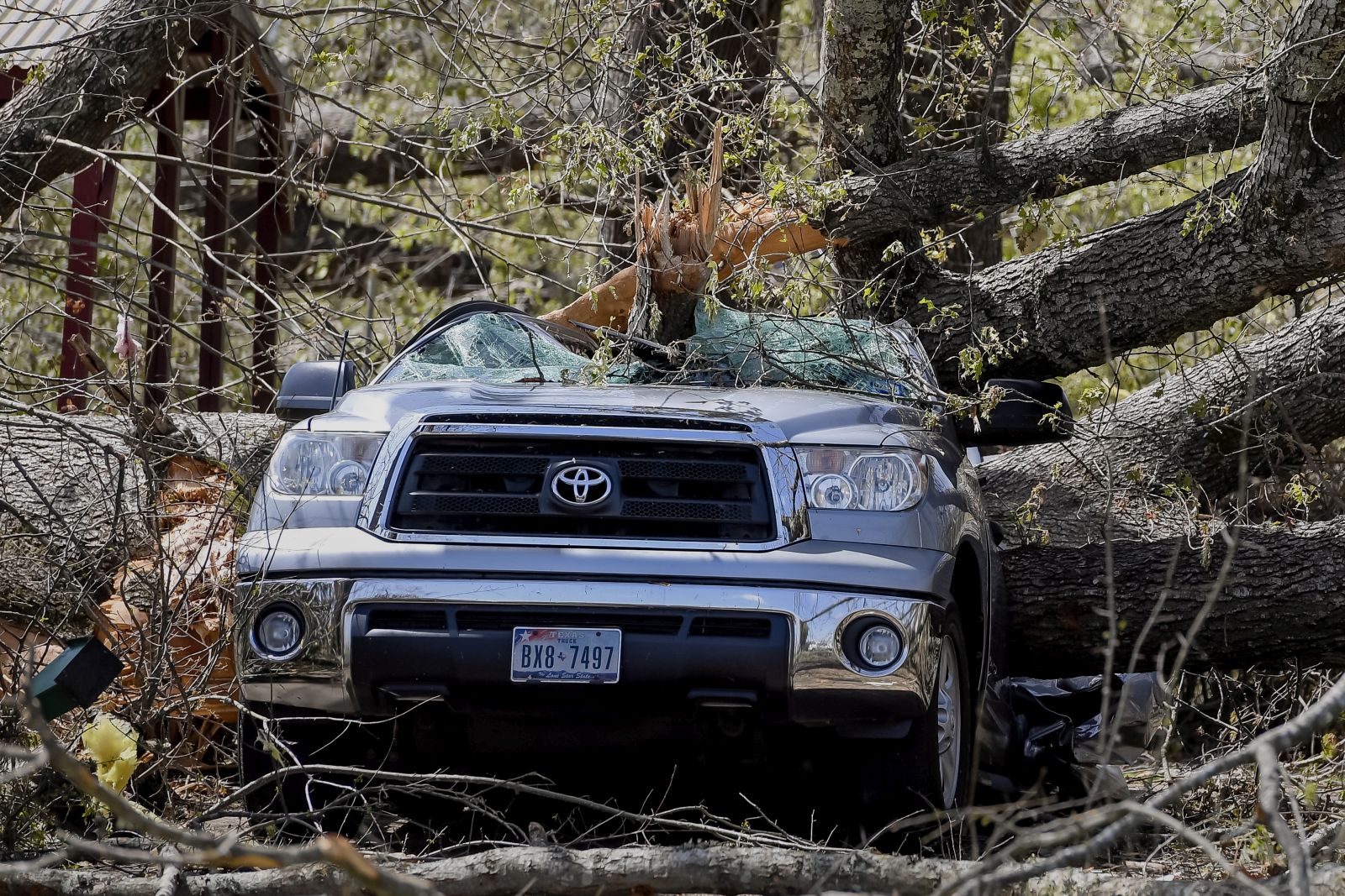 epaselect epa10543352 A pickup truck destroyed by downed trees the day after a tornado struck in Amory, Mississippi, USA, 25 March 2023. At least 23 people have been killed after an overnight tornado and severe weather outbreak tore through the US state of Mississippi.  EPA/THOMAS GRANING