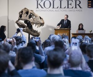 epa10578743 CEO auction house Koller Cyril Koller stands next to the head of the skeleton of a Tyrannosaurus rex named Trinity, during an auction of the auction house Koller in Zurich, Switzerland, 18 April 2023. The 11.6 meter long, 3.9 meter high and 67 million year old T-Rex skeleton was assembled from three specimens excavated from 2008 to 2013 in the Hell Creek and Lance Creek formations in the U.S. states of Montana and Wyoming.  EPA/MICHAEL BUHOLZER