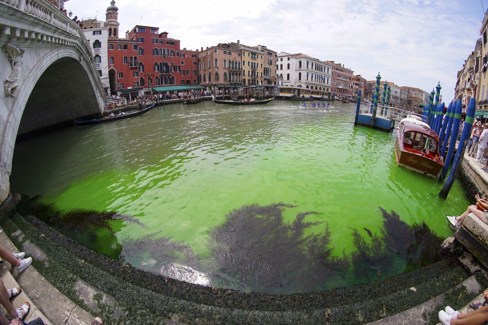 epa10659953 A picture taken with a fisheye lens shows a patch of phosphorescent green liquid seen on the Grand Canal near the Rialto Bridge, in Venice, Italy, 28 May 2023. On the morning of 28 May a patch of phosphorescent green liquid appeared in the waters of Venice, along the Grand Canal near the Rialto Bridge. Firefighters took water samples, while an urgent meeting between the police forces of the city was convened by the Prefect of Venice, as the cause is still unknown.  EPA/ANDREA MEROLA