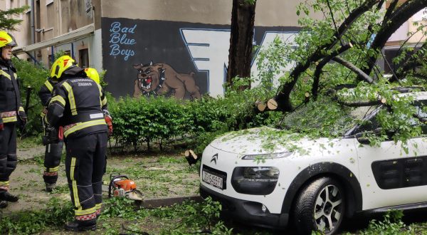 16.05.2023., Zagreb - Srusilo se stablo na auto u Marticevoj ulici. Photo: Sinisa Strcic/PIXSELL