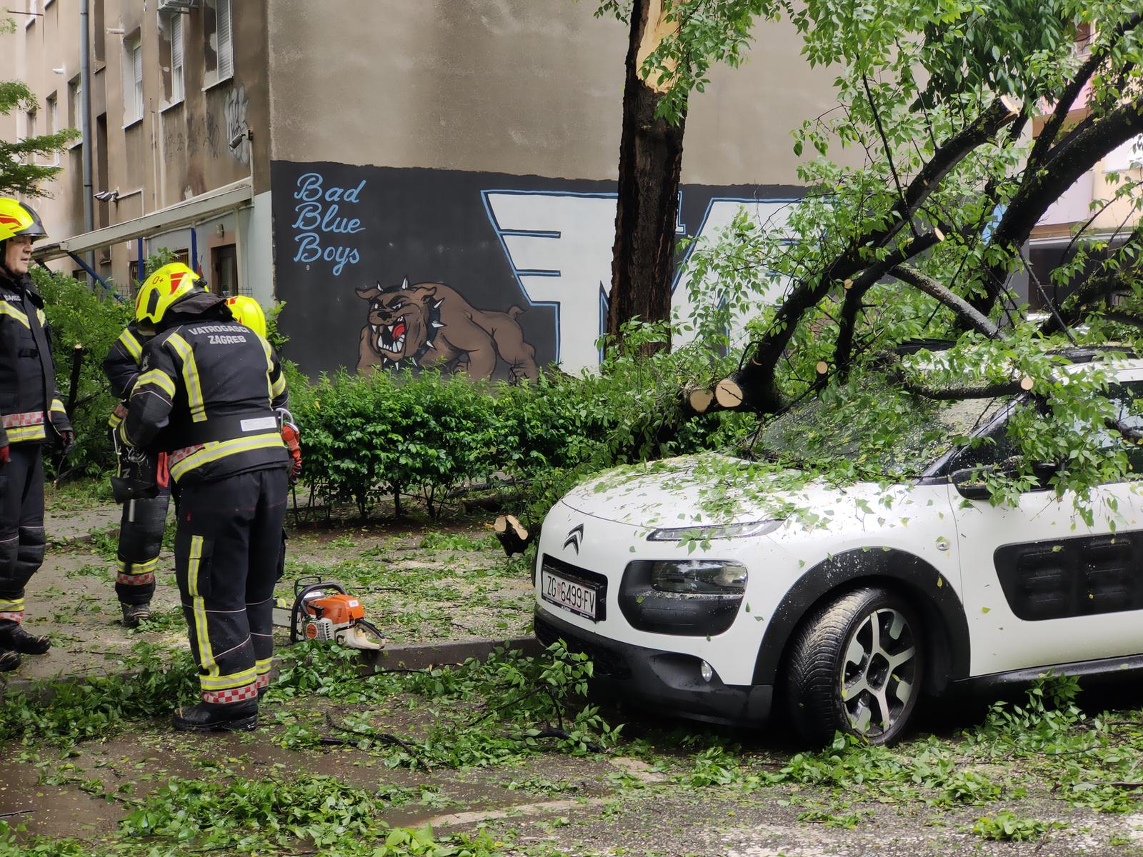 16.05.2023., Zagreb - Srusilo se stablo na auto u Marticevoj ulici. Photo: Sinisa Strcic/PIXSELL