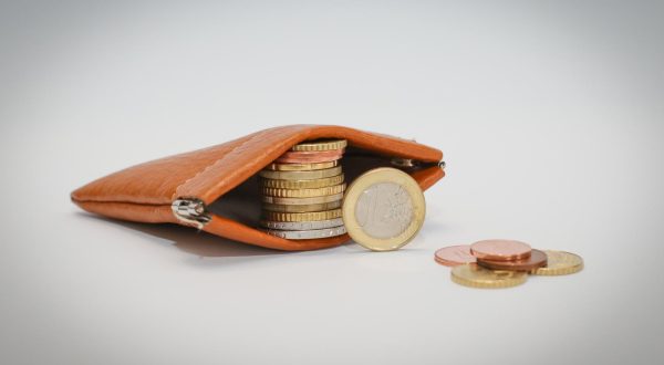 18.01.2023., Osijek - Uvodenjem eura porasla je potrazna za novcanicima u kojima gradani drze kovanice.. Photo: Dubravka Petric/PIXSELL
