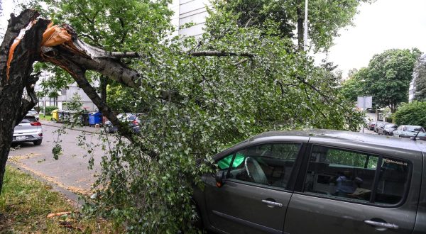 23.06.2023.,Zagreb - Olujni vjetar srusio  stablo u Ulici Ante Jaksica  , tri automobila ostecena Photo: Igor Soban/PIXSELL