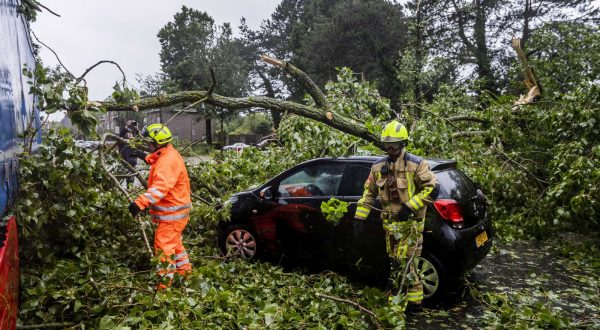 epa10727012 Firefighters cut free a damaged car from an uprooted tree in Haarlem, The Netherlands, 05 July 2023. The first summer storm of the year and the first of its kind since August 2020 has been named 'Poly'. The Royal Netherlands Meteorological Institute (Koninklijk Nederlands Meteorologisch Instituut, or KNMI) has issued a code red warning for part of the country, which asks residents to take action as precaution because of 'a high risk of dangerous situations due to tree branches breaking off, trees being blown over and objects flying around such as roof tiles or garden furniture.  EPA/REMKO DE WAAL
