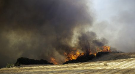 Pijani vozač na grčkom otoku Hiosu prouzročio nesreću i uzrokovao veliki požar