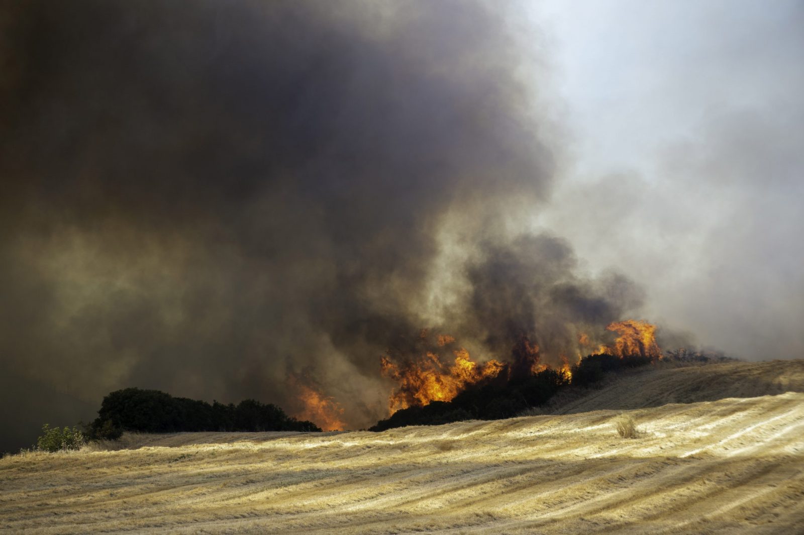 epa10771926 A fire burns fields, in Velestino, Magnesia prefecture, Greece, 27 July 2023. Wildfires were rekindled in the greater Volos area, on Volos' coastal front, from the city itself to as far as Nea Anchialos, 18 km southeast of Volos, including the villages of Megali Velanidia, Marathos, and Kritharia. Another fire rekindling has also occurred at Seklo and Agios Georgios in Feres (east of Velestino, where the fire first started on 26 July), heading to Kastraki and Mikrothives, west of Volos.  EPA/IKONOMOU VASSILIS