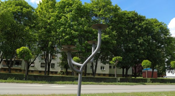 10.05.2023., Vinkovci - Grad Vinkovci, jedan od prvih gradova u Republici Hrvatskoj, koji je donio nesvakidasnju odluku i uveo metalna stabla  Photo: Dubravka Petric/PIXSELL