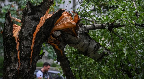 23.06.2023.,Zagreb - Olujni vjetar srusio  stablo u Ulici Ante Jaksica  , tri automobila ostecena   Photo: Igor Soban/PIXSELL