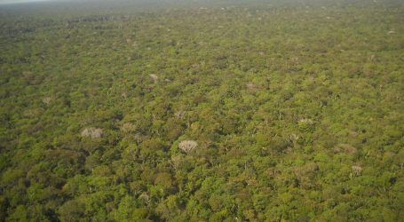 Sjajne vijesti: Deforestacija Amazonije u srpnju je pala na najmanju mjesečnu razinu od 2017. godine