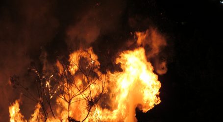Horor u Grčkoj: U šumi zahvaćenoj požarom pronađeno 18 izgorjelih tijela
