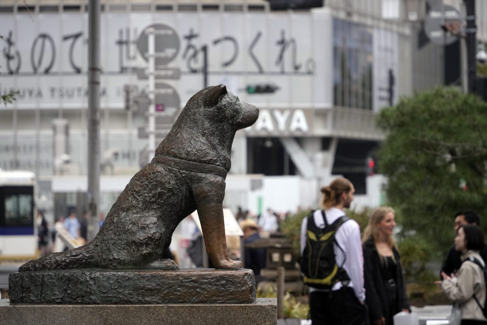 epa10967966 The statue of Hachiko stands outside Shibuya station in Tokyo, Japan, 10 November 2023. On 10 November 2023, Japan marks 100 years since the birth of the faithful dog Hachiko (1923-1935), known for continuing to wait in front of the Shibuya train station for his owner after his death, and whose statue is an icon of Tokyo and one of the most famous monuments visited from the city.  EPA/FRANCK ROBICHON