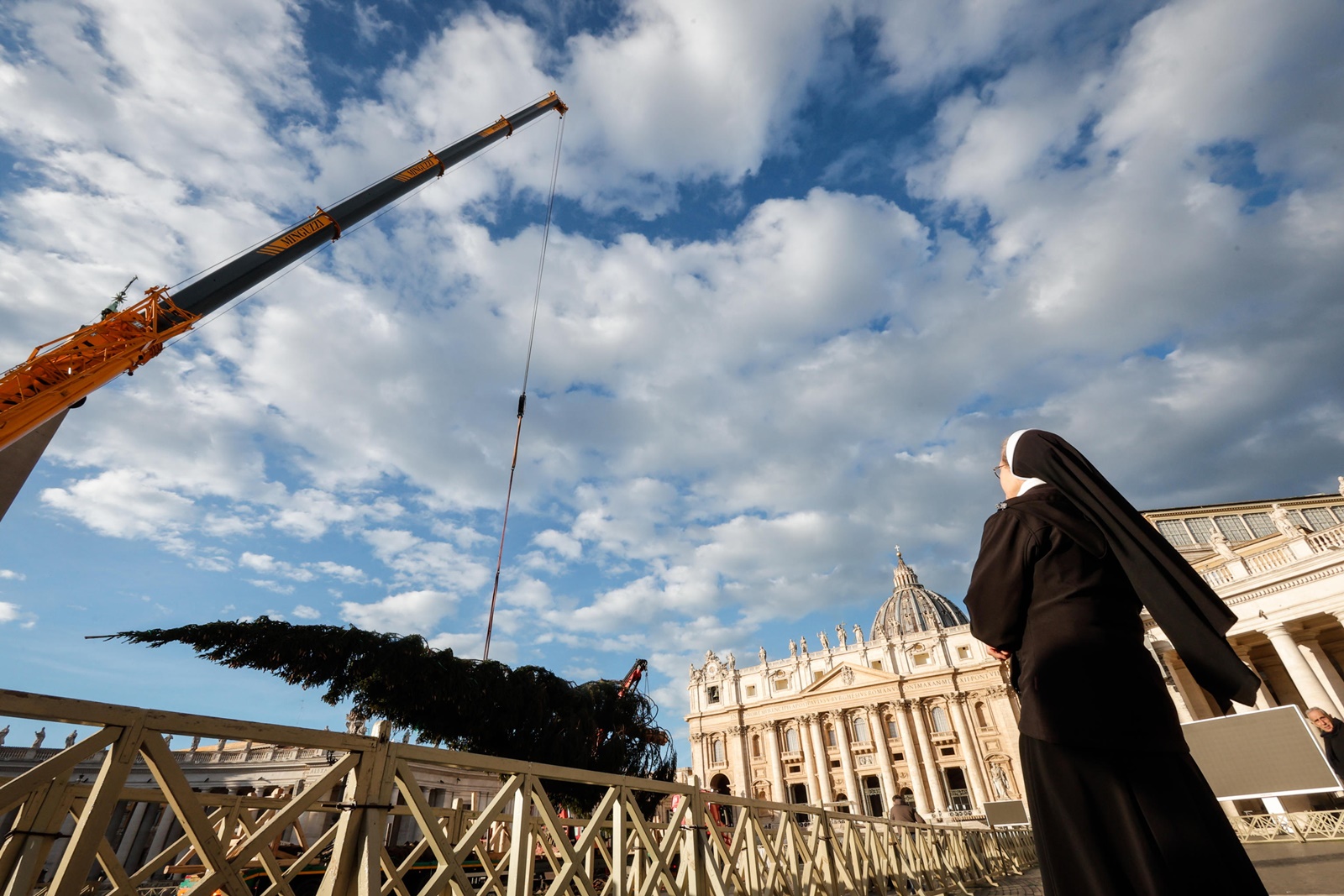 epa10990528 A nun looks on as a fir tree from Italy's Piemonte region is brought to St. Peter's Square to serve as a Christmas tree, Vatican, 23 November 2023.  EPA/GIUSEPPE LAMI