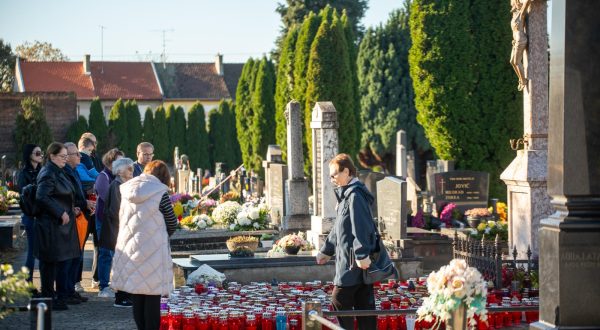 01.11.2023.,  Osijek -Guzve na grobljima povodom blagdana Svi sveti Photo: Borna jaksic/PIXSELL