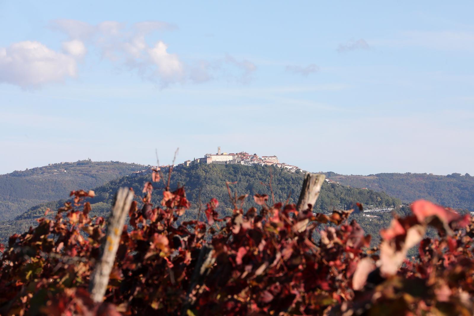 16.10.2021., Zavrsje - Boje jeseni u vinogradima Istre s pogledom na Motovun.   Photo: Goran Kovacic/PIXSELL