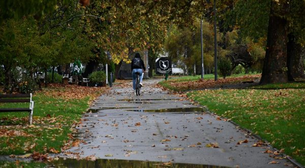 31.10.2023., Slavonski Brod - Nakon kise i jakog vjetra gradski parkovi i ulice prekrivene su liscem. Photo: Ivica Galovic/PIXSELL