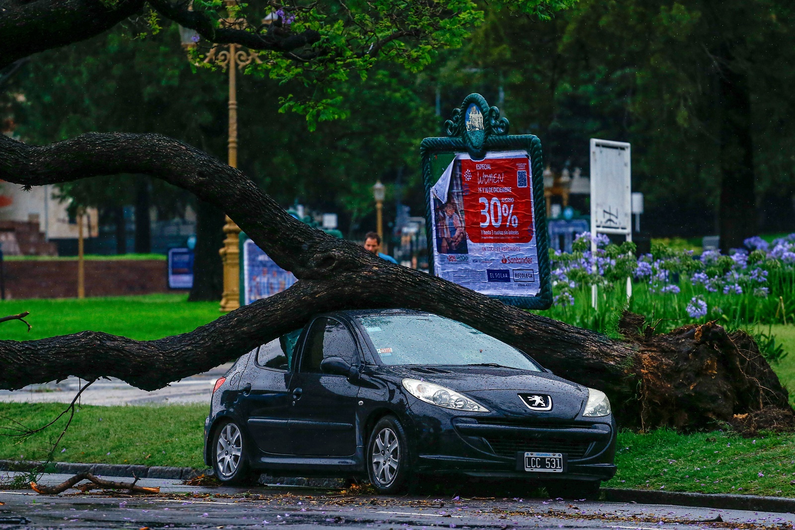 epa11034564 A fallen tree lies on a car after a storm in Buenos Aires, Argentina, 17 December 2023.  The storm, with heavy rains registered winds of 100km/h, caused power outages and downed trees. The National Meteorological Service (SMN) maintains the orange alert in the Metropolitan Area of Buenos Aires (AMBA).  EPA/LUCIANO GNOZALEZ
