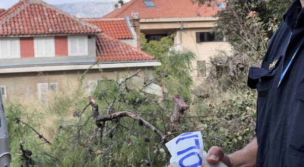 31.10.2023.,Split - Nakon sto se dogradonacelnik Bojan Ivosevic povukao od zapilanog stabla uz koji je stajao poluicija ogradila prostor i na taj nacin speijecila nastavak rusenja. Photo: Ivo Cagalj/PIXSELL